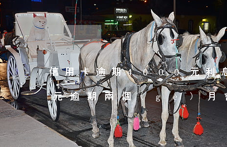 信用卡逾期4000元利息(信用卡4000元逾期兩個(gè)月會(huì)有什么后果)