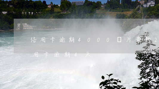 信用卡逾期4000圖片最新(2021年信用卡逾期4天)