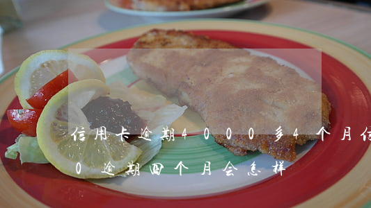 信用卡逾期4000多4个月(信用卡2500逾期四个月会怎样)