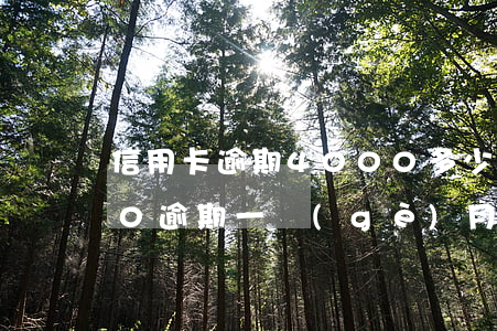 信用卡逾期4000多少利息(信用卡4000逾期一個(gè)月利息多少)