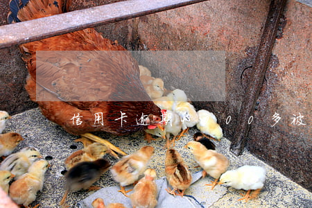 信用卡逾期4000多被起訴