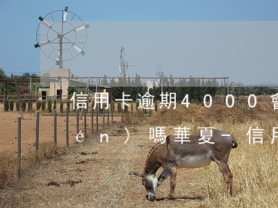 信用卡逾期4000會(huì)上門(mén)嗎華夏-信用卡逾期4000會(huì)上門(mén)嗎華夏銀行
