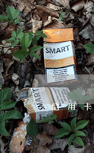 信用卡逾期4000會(huì)立案嗎