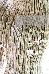 信用卡逾期4000會(huì)被起訴嗎嗎-信用卡逾期4000會(huì)被起訴嗎嗎會(huì)坐牢嗎