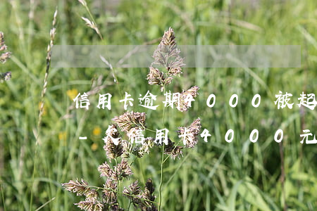 信用卡逾期4000被起訴立案后怎么解決-欠信用卡4000元被起訴后果