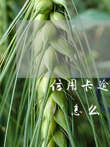 信用卡逾期400多天怎么辦(信用卡逾期四萬怎么辦)