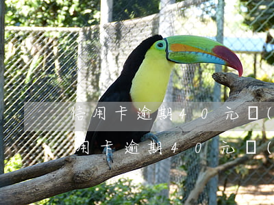 信用卡逾期40元會(huì)上門嗎-信用卡逾期40元會(huì)上門嗎貼吧