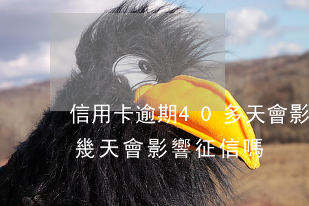 信用卡逾期40多天會影響征信 信用卡逾期幾天會影響征信嗎