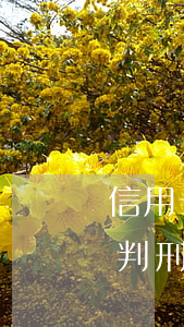 信用卡逾期40多萬(wàn)判刑案例(被判刑導(dǎo)致信用卡逾期)