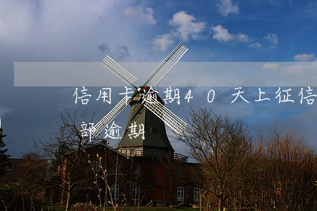 信用卡逾期40天上征信么(40万信用卡全部逾期)
