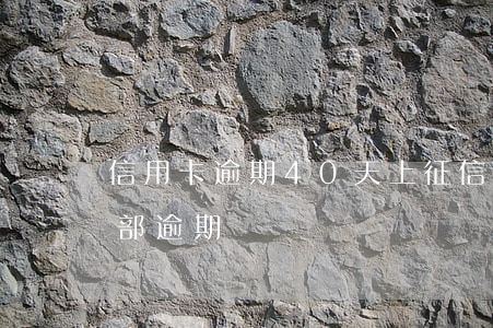 信用卡逾期40天上征信么(40萬信用卡全部逾期)