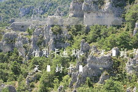 信用卡逾期40天會封卡嗎(信用卡逾期40天會封卡嗎)