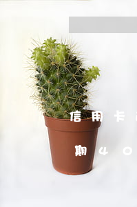 信用卡逾期40幾塊錢十幾天-我信用卡逾期40天了有什么影響