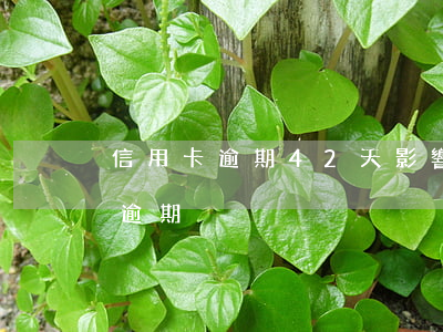 信用卡逾期42天影響大不大(十多張信用卡逾期)