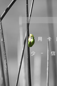 信用卡逾期44萬(wàn)判刑罰金是多少-信用卡逾期44萬(wàn)判刑罰金是多少錢(qián)