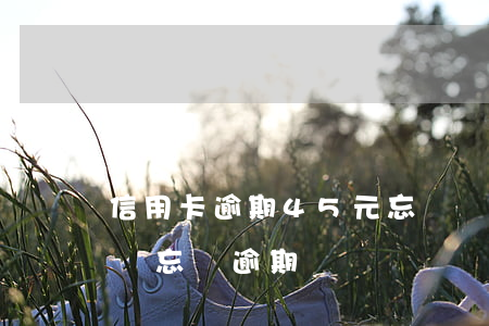 信用卡逾期45元忘記還了(信用卡20多塊錢忘記逾期)