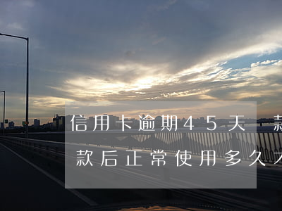信用卡逾期45天還款(信用卡逾期45天還款后正常使用多久才能申請信用卡)