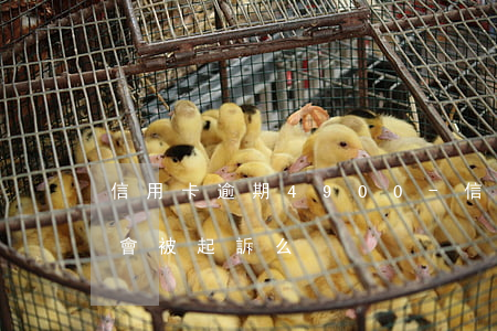 信用卡逾期4900-信用卡逾期4900會被起訴么