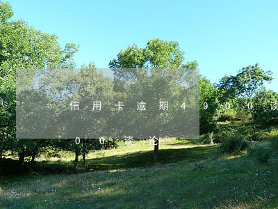 信用卡逾期4900谈论-信用卡逾期4900谈论