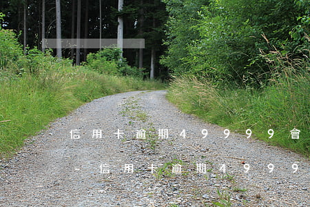 信用卡逾期49999會(huì)怎么樣-信用卡逾期49999會(huì)怎么樣嗎
