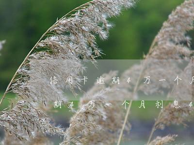 信用卡逾期4万一个月利息4千-信用卡逾期4万一个月利息4千多正常吗