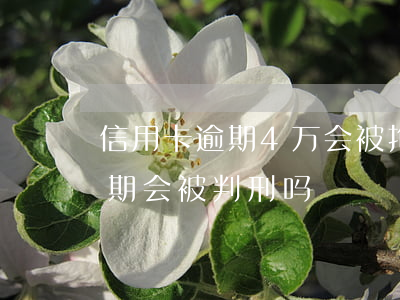 信用卡逾期4万会被拘留吗(欠四万信用卡逾期会被判刑吗)