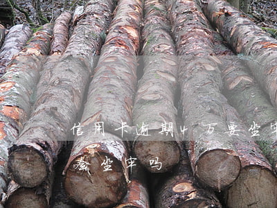 信用卡逾期4万要坐牢吗(信用卡逾期四万八会坐牢吗)