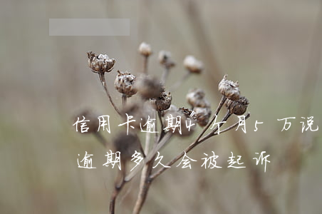 信用卡逾期4个月5万说已起诉(信用卡4万逾期多久会被起诉)