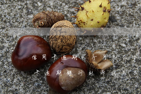 信用卡逾期4个月怎么协商报警(三个月信用卡逾期银行起诉我怎么办)