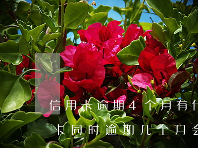 信用卡逾期4个月有什么影响-四五张信用卡同时逾期几个月会怎样