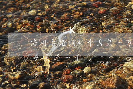 信用卡逾期4个月欠一万(欠信用卡逾期别怕每月还一千)