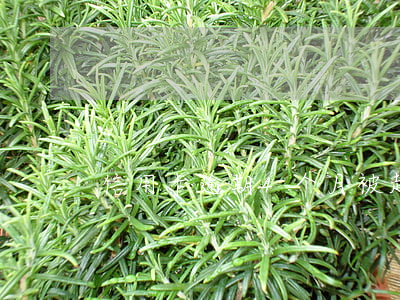信用卡逾期4个月被起诉了