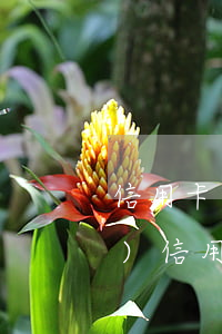 信用卡逾期4個(gè)月10萬(wàn)(信用卡10萬(wàn)逾期三個(gè)月怎么辦)