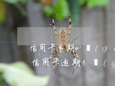信用卡逾期4個(gè)月了該怎么辦(5張信用卡逾期3個(gè)月了怎么辦)