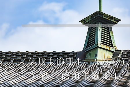 信用卡逾期4個(gè)月可以協(xié)商嗎(信用卡逾期4個(gè)月可以協(xié)商嗎還本金)