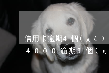 信用卡逾期4個(gè)月圖片看看(信用卡4000逾期3個(gè)月)
