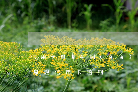 信用卡逾期4個(gè)月收到信件(收到信息說信用卡逾期)