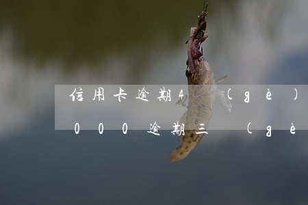 信用卡逾期4個(gè)月有額度(信用卡4000逾期三個(gè)月)
