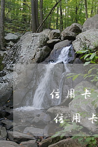 信用卡逾期4個(gè)月還清還能用嗎-信用卡逾期4個(gè)月還清還能用嗎知乎