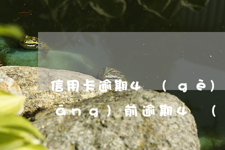信用卡逾期4個(gè)月還能貸嗎(當(dāng)前逾期4個(gè)月了能做信貸么?)
