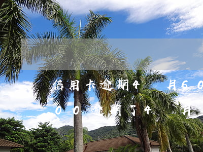 信用卡逾期4個月6000塊-信用卡5000逾期了4個月