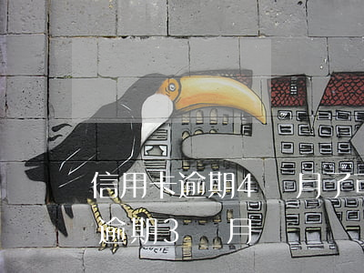 信用卡逾期4個月了可以不還嗎(信用卡4萬逾期3個月)