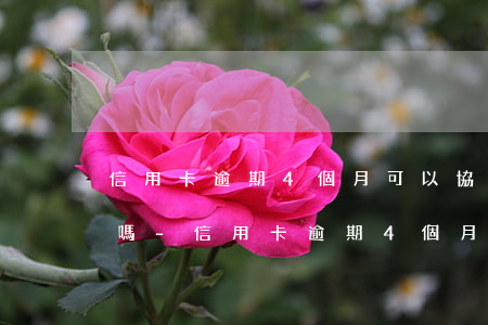 信用卡逾期4個月可以協(xié)商還款嗎-信用卡逾期4個月可以協(xié)商還款嗎?