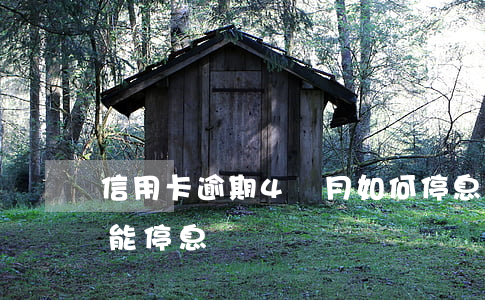 信用卡逾期4個月如何停息掛賬-欠信用卡能停息掛賬嗎