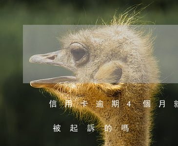 信用卡逾期4個月就起訴了嗎(有信用卡逾期被起訴的嗎)