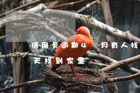 信用卡逾期4個月有人找到家里(欠信用卡今天找到家里)
