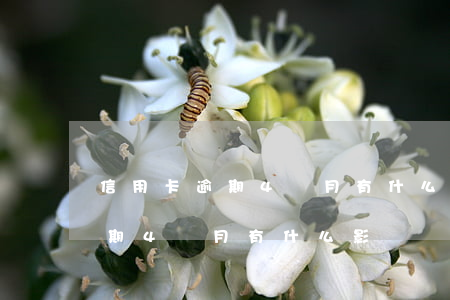 信用卡逾期4個月有什么影響嗎-信用卡逾期4個月有什么影響嗎知乎