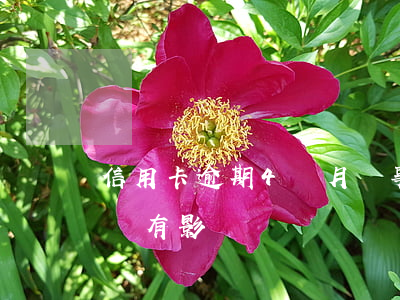 信用卡逾期4個月沒事嗎(信用卡逾期四天有沒有影響)