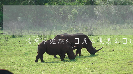 信用卡逾期4個月立案怎么處理