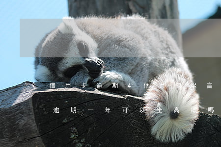 信用卡逾期4個月能坐高鐵嗎 支付寶信用卡逾期一年可以坐高鐵嗎?